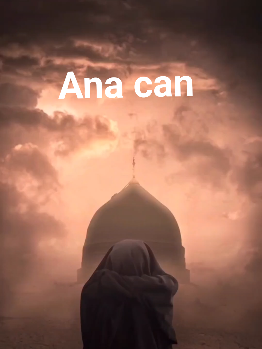 «Xanım Zəhra… Qapına üz tutan bəndənin arzusu birdir: O seçilmişlərin sırasında yerimiz olsun. O müqəddəs dəftərdə adımız düşsün… Sən də bizə Ana kimi buyur: “Yaxınımsınız… bizdən sayılırsınız.” Bu kəlmə bəsdir ki, ömrümüzə nur düşsün.»