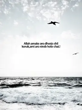 Haee 🫠❤️‍🩹 #unknowntanvir 