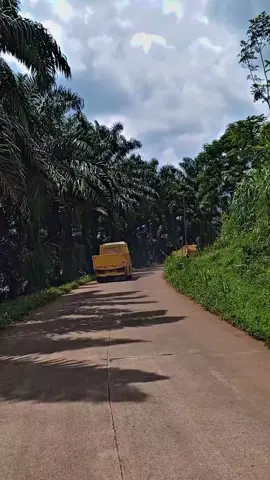 #foryoupage #fyp #ragasa_mania_menolak_punah @@riski @berkahbersama596 