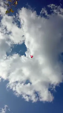 يا ما راني مغبون #chebyouyoulartiste #fyp #fypp #viral_video #الشعب_الصيني_ماله_حل😂😂 #capcut #fyyyyyyyyyyyyyyyy #kolyom_jdid🔥🔥 #اتهلاوووووو___خاوت