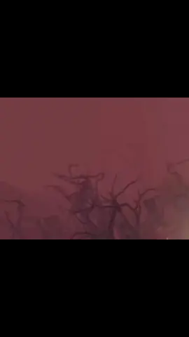 От снайпера не улетишь #dota2 #dota #dota2wtf #dota2memes #dota2moments 