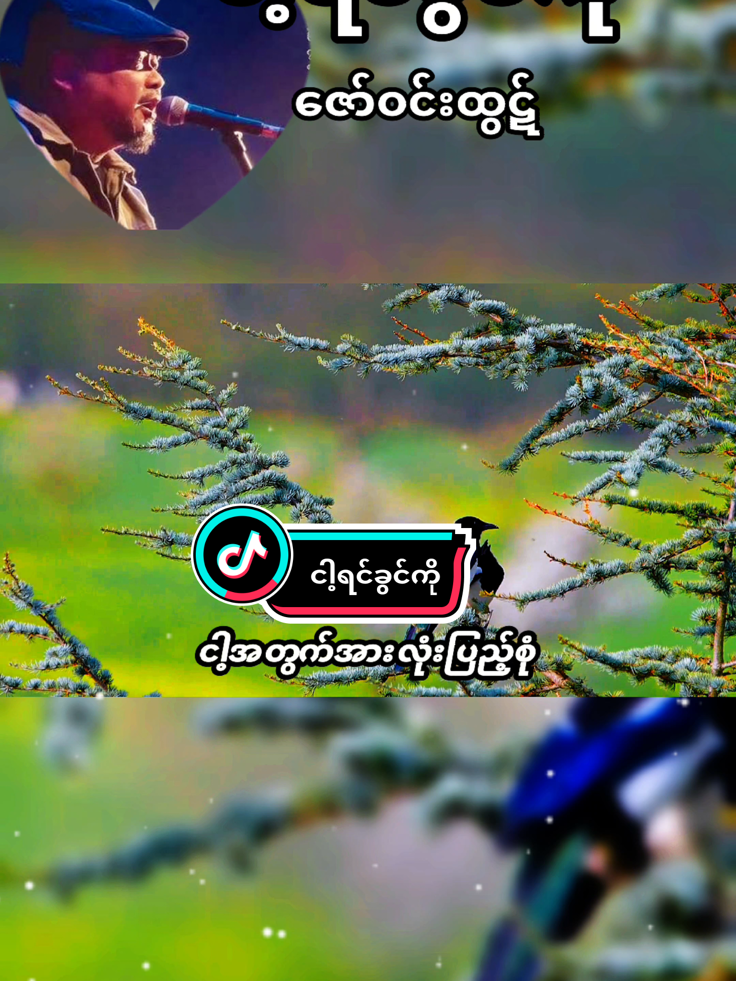 ငါ့ရင်ခွင်ကို - ဇော်ဝင်းထွဋ် #ငါ့ရင်ခွင်ကို  #ဇော်ဝင်းထွဋ်  #မြန်မာသံစဥ်များကိုချစ်မြတ်နိုးသူ  #fyp  #fyppppppppppppppppppppppp 