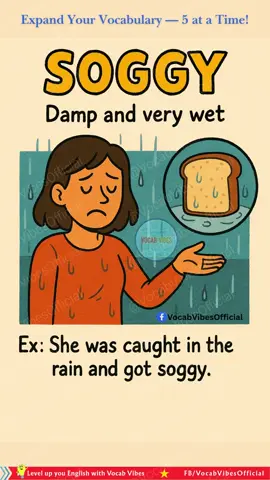 English Vocabulary | Learn English #learnenglish #english #grammar #creatorsearchinsights #englishclass 