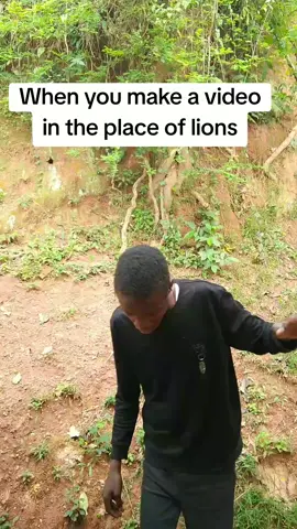 True lions are here😱 #foryou #kenyantiktok🇰🇪 #southafrica #ugandatiktok #zambiantiktok🇿🇲 
