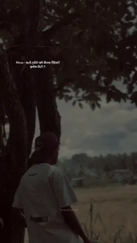 ගෙදර හුරතලා මම දුරස් උනා බැදීම් 🙂💔 #foryou #trending #sterkberzah 