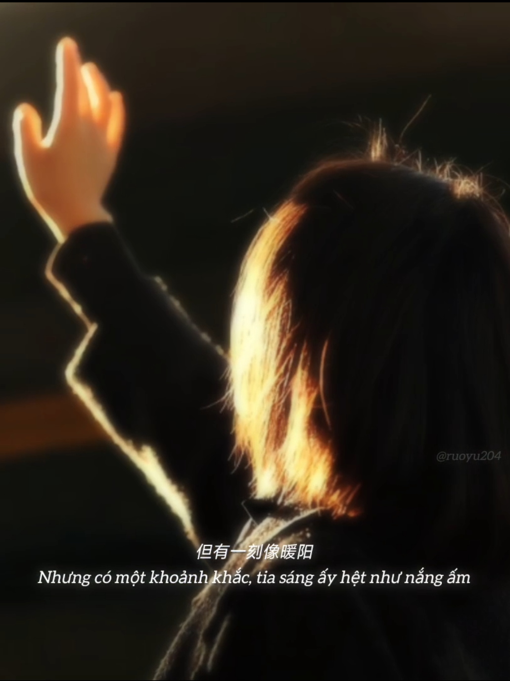 我曾捡到一束光 在某个寻常的午后。它亮了我的黄昏, 暖了我的寒夜, 然后在黎明时分, 悄然退场。#遗憾 #捡到一束光 #ruoyu204 #中国音乐  #情感 