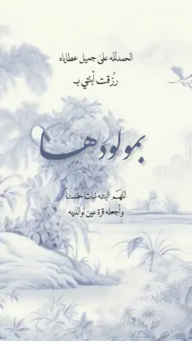 بشارة مولود بدون اسم#دعوات_الكترونيه #دعوات_الكترونيه_زواج_مواليد_اكسبلور #حفيدي_بدون_اسم #بشارة_مولود 