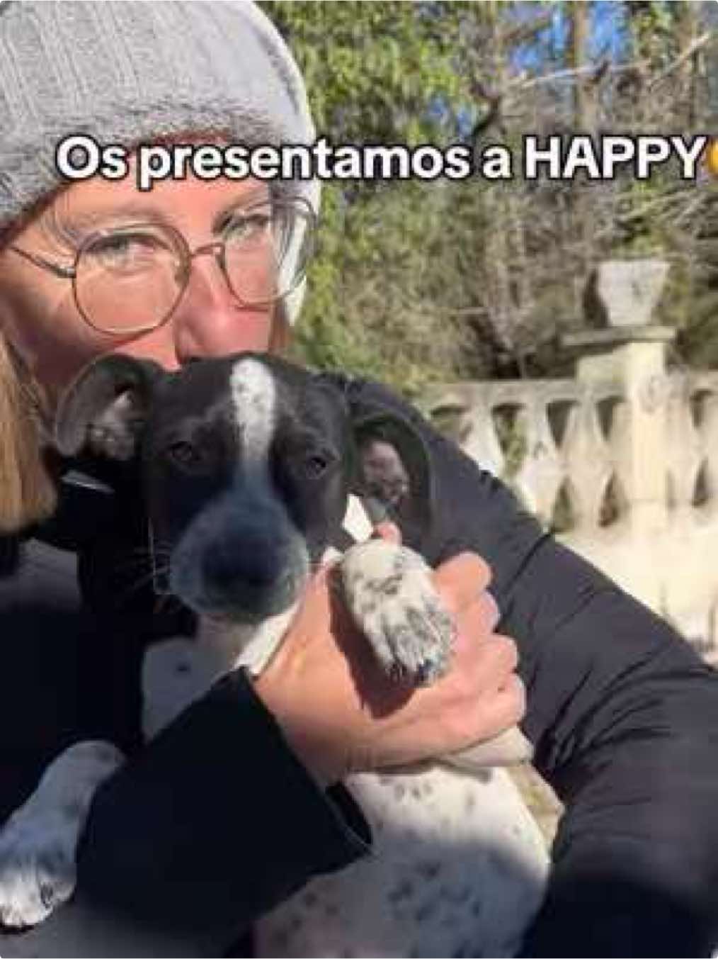 Os presento a la dulce HAPPY🥹 Fue encontrada vagando por la calle junto a un hermanito suyo. Ambos fueron rescatados por la protectora SPAC Torredembarra. Happy está en una casa de acogida para adopción y nuestra familia la ha elegido para que forme parte de ella. Happy va conocer el calor de una familia este invierno. #adopcion#adopcionperros#adopcionresponsable#protectoraspac#spac 