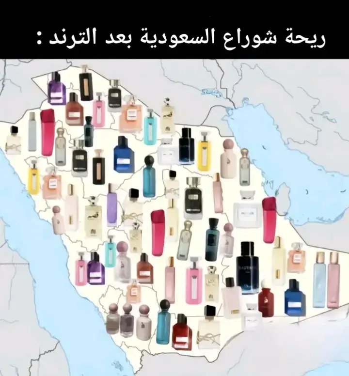 #المدينه_المنوره #fyp #fyppppppppppppppppppppppp #duet #foryou 