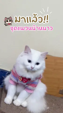 #ทาสแมว #เสื้อผ้าสัตว์เลี้ยง #เสื้อผ้าแมวสัตว์เลี้ยงฤดูหนาว #เสื้อผ้าแมวน่ารักๆ 