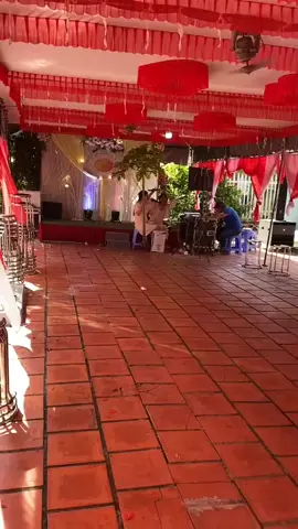 Kiếp nạn cây đu đủ 🤣 #xuhuong #fyp #viral #j4f #vanvatbietnoi 