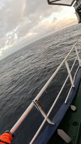 #tiktoksea #norgvarg #offshore 