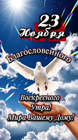 Доброе утро! #23ноября #ДОБРОЕУТРОНОВИНКИ  #воскресенье 