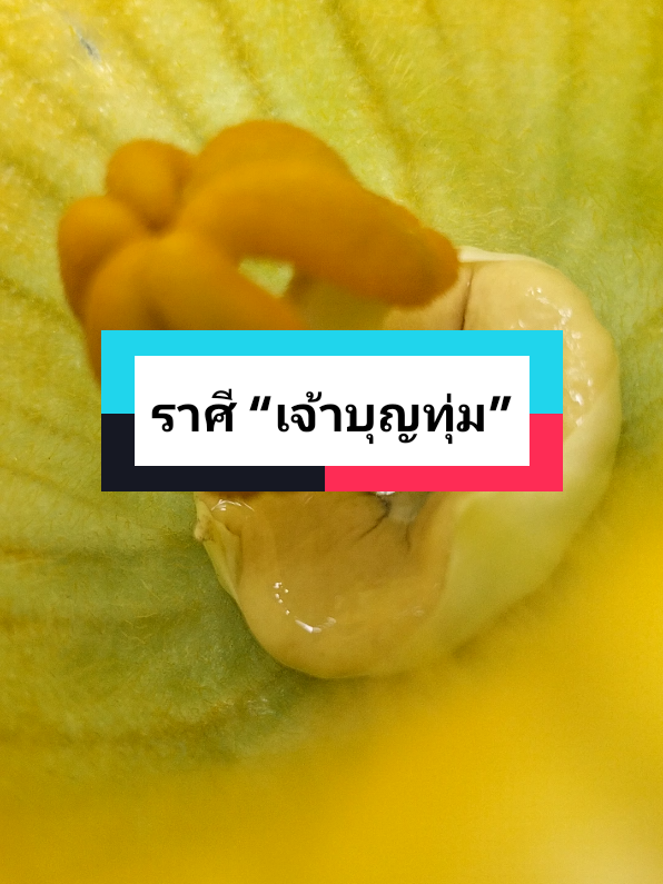 #tiktokvirall #ดวงชะตา #รวมคําทํานายแม่นๆ 