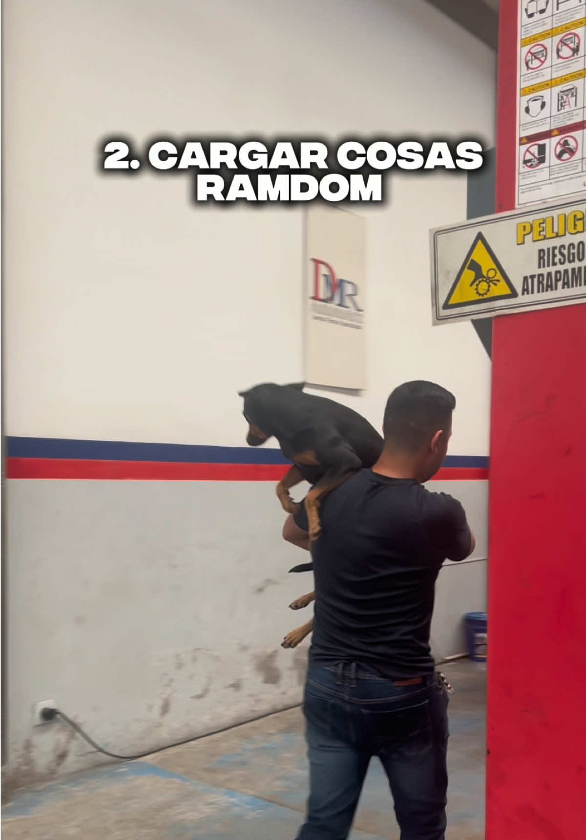 Siempre estamos ocupados pero por si acaso les dejamos estos tips que nos han funcionado 🤣 #mecanicaautomotriz #motor #humor #mecanica #serviciotecnico 