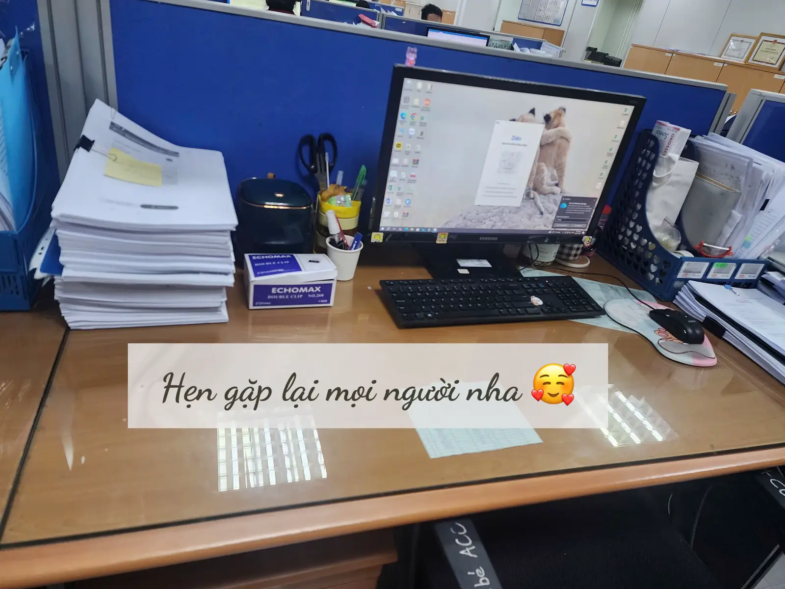 #mebauthongthai #bauxinh #dailyvlog #mebau 