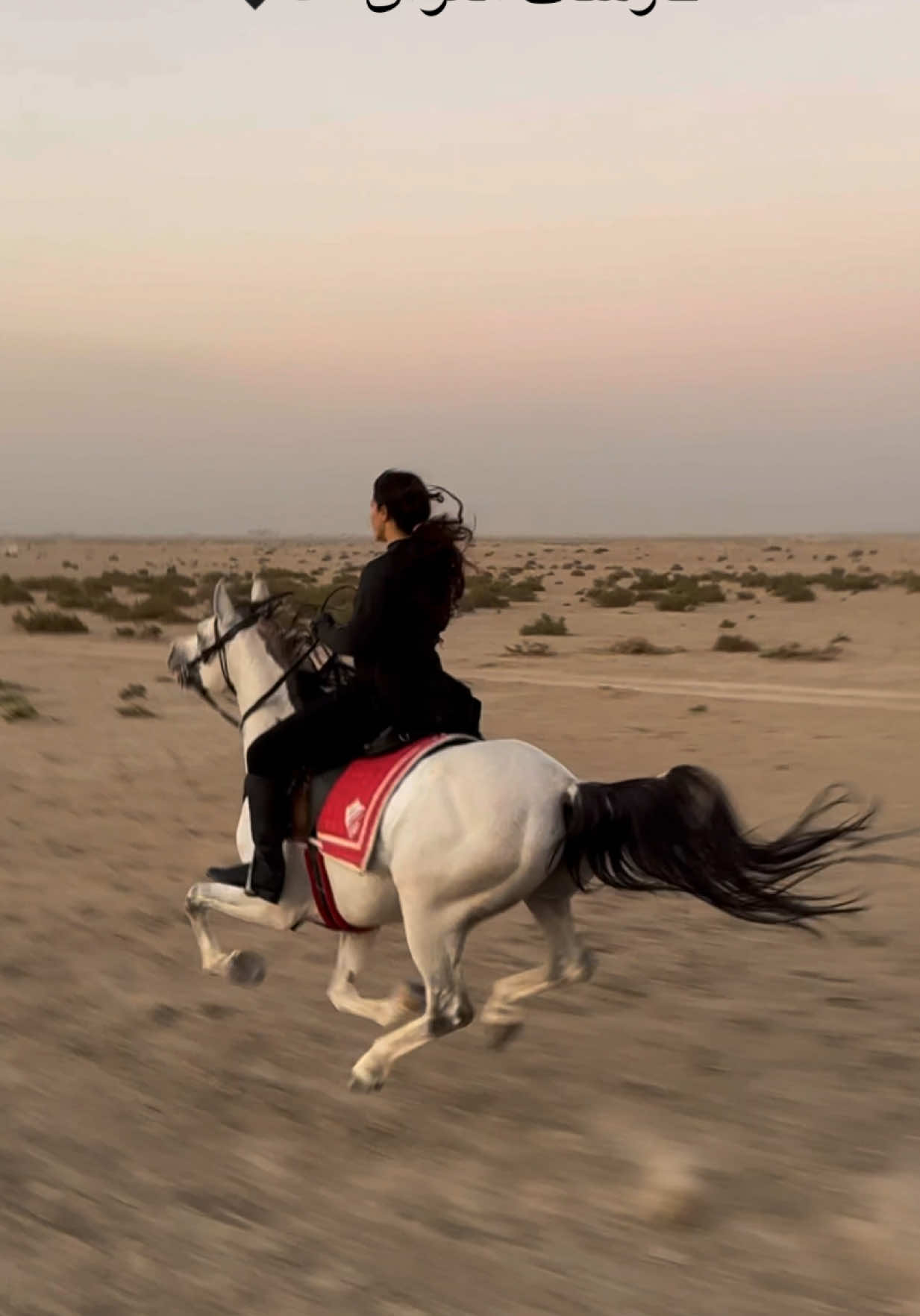 #الفارسة_فاطمة #خيل_وخياله🐎 #اكسبلور #خيول_عربية #فروسيه 