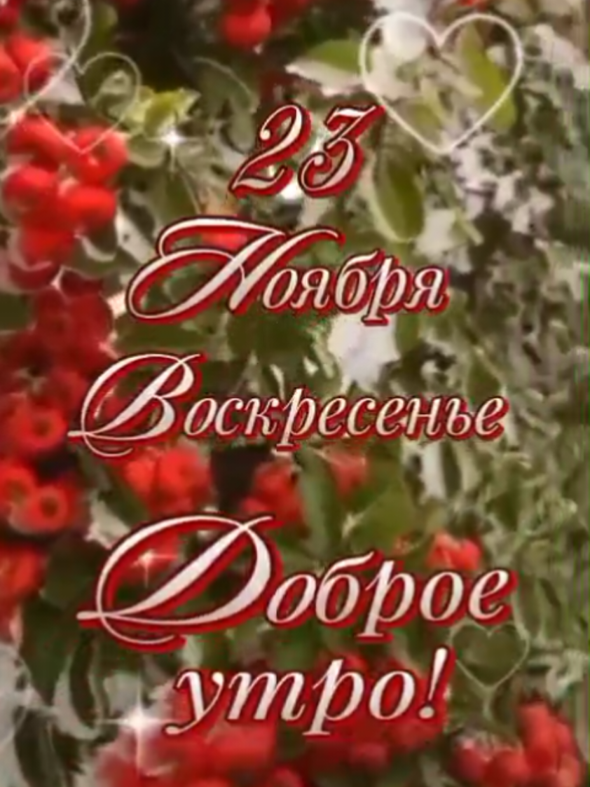 23 ноября  воскресенье  доброе утро!