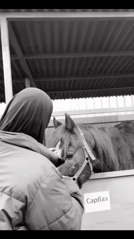 #рекомендации 