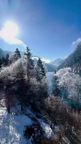 Cưu Trại Câu cũng vào đông rồi ❄️📸 #namninhtravel #reviewdulich #viral #dulichtrungquoc #giangnam 