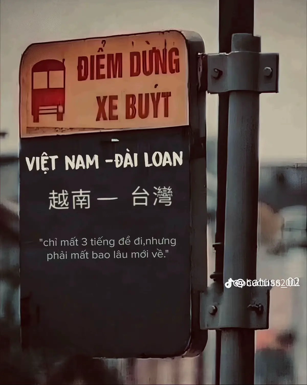 Zhunan miêu lật🇹🇼