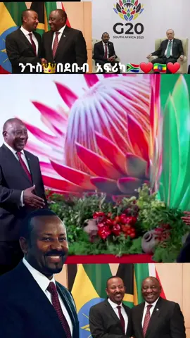 #abyiahmed #ኢትዮጵያ_ለዘለዓለም_ትኑር🇪🇹🇪🇹🇪🇹 #ደቡብአፍሪካ#ኢትዮጵያ_ለዘለዓለም_ትኑር🇪🇹🇪🇹🇪🇹 