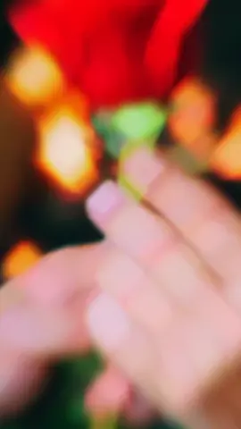 🌿🌹🌿🌹🫶💘🫶❤️❤️❤️