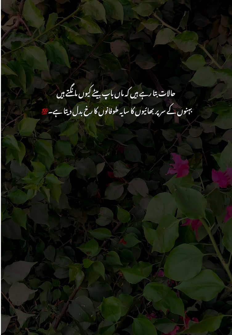 Bilkul💯#fyp #grow #poetry #viralvideos #aestheticvideos 