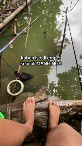 tulungono#ponorogo24jam #wadukbendoponorogo #fyp #mancing #trending 
