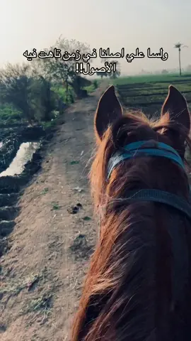 #fybシ #طارق_الرضواني🤩 