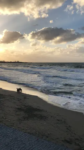 Does the farewell have a place or is it a ship without a sail? And never try to liquidate accounts or take revenge from a person you have given your heart because liquidating accounts is a cheap currency in the emotional transaction market, and revenge is not the morals of lovers, and it is a mistake to show your feelings in the markets and be a knight without morals, and if it is necessary to part, do not leave a door to reconciliation unless you go to it. Alexandria I Egypt 