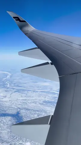 Window seat views don't get much better than this. Flying high above the snow and ice😊😊 #viral #fyp #airlines #sky #pilot 