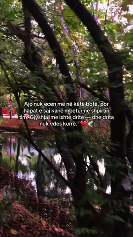 me mungon💔🕊️