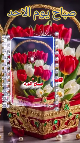 #CapCut صباح يوم الاحد اللهم آمين يارب العالمين #🤲 #🌴🌿☘️🌳🌱🌲🌷🌾🌿🍃🌿 