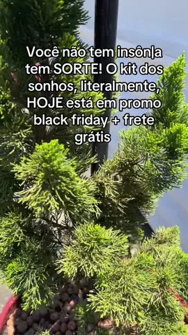 #tiktokshopblackfriday #alwaysfit #melatonina #magnesio #dormirbem 