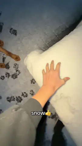 #dog #fyp #foryou #viraal #viral 