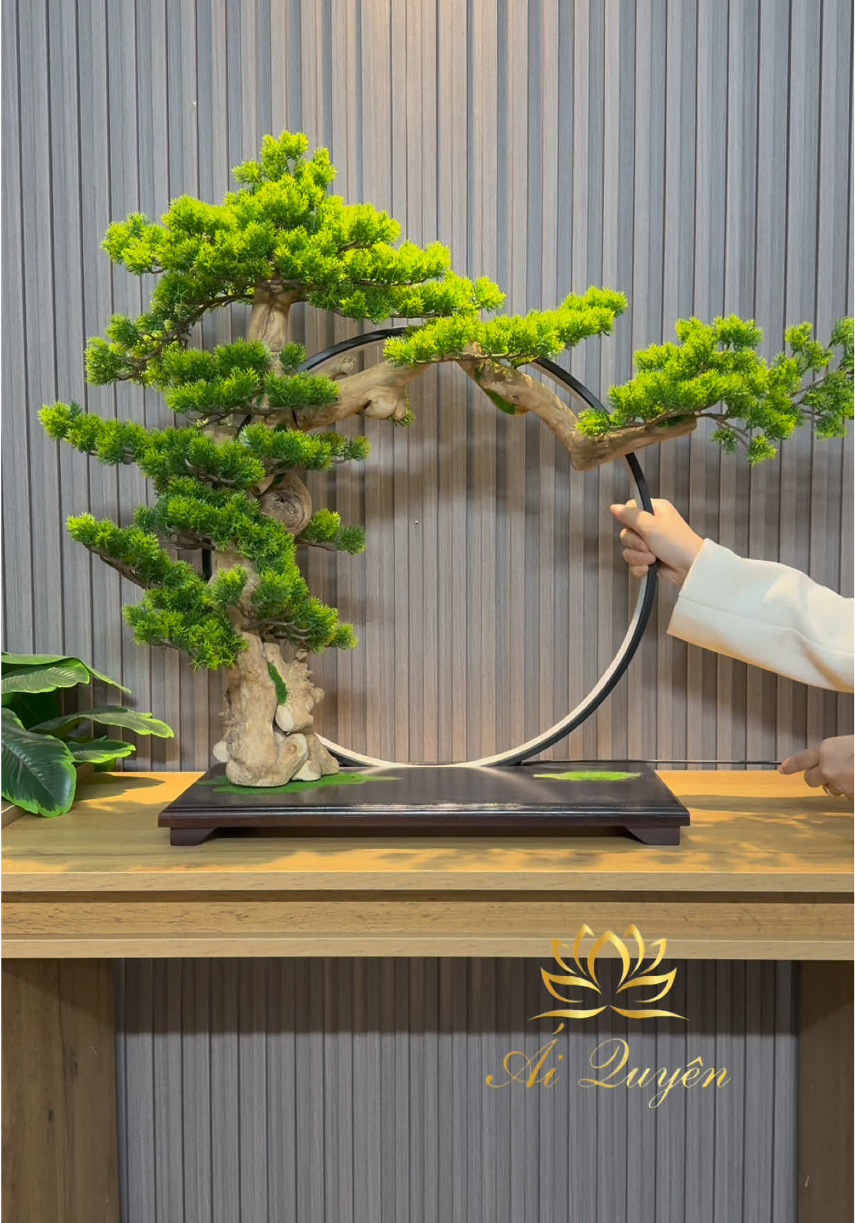 Kệ 50x25cm , vòng đèn 50cm #keden #kedenhaoquang #tieucanh #aiquyen 