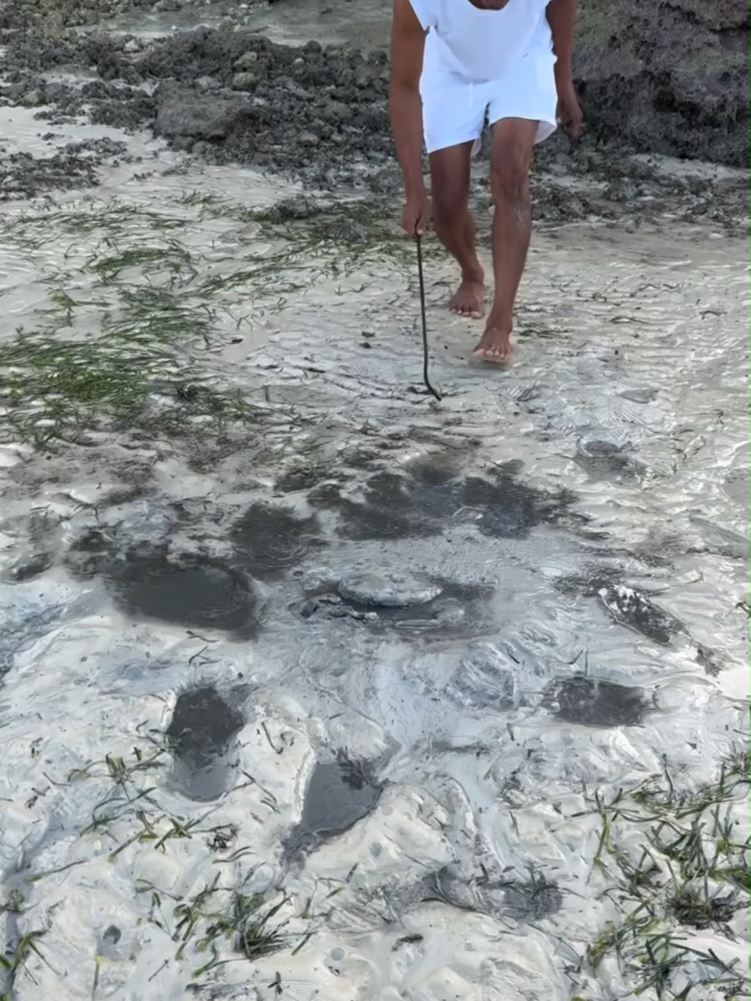 #adventure #fishing #Outdoors #OlivaresHunters #hunting #seafoodlover