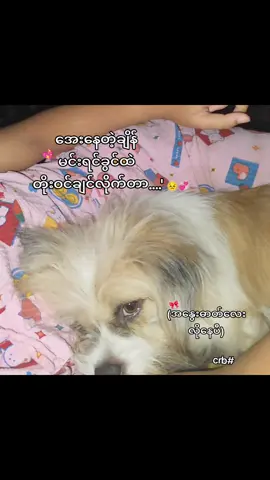 အနွေးဓာတ်လေး😣💖#viewမတက်ရင်ပြန်ဖျက်မယ်ကွာ #မင်းတို့idolဖစ်ချင်လို့🤭💖 #trending #fypシ゚viral #viewsproblem😭 