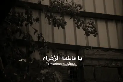 آلَلَهّمً بًحًقُ آلَزٍهّرآء آشُفُعٌ آلَنِآ وٌآقُضيَ حًوٌآجّئنِآ. يَآآلَلَهّ  #السيده_فاطمه_الزهراء_عليها_السلام #اللهم_عجل_لوليك_الفرج #اكسبلورexplore 