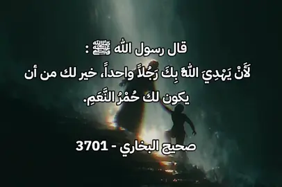 #إسلاميات #دين #مقاطع_دينية #دينيات #الإسلام_دين_الحق 