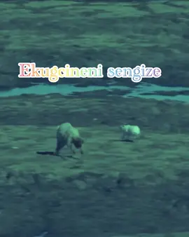 Yamukela nhliziyo, awudele wena😭💔