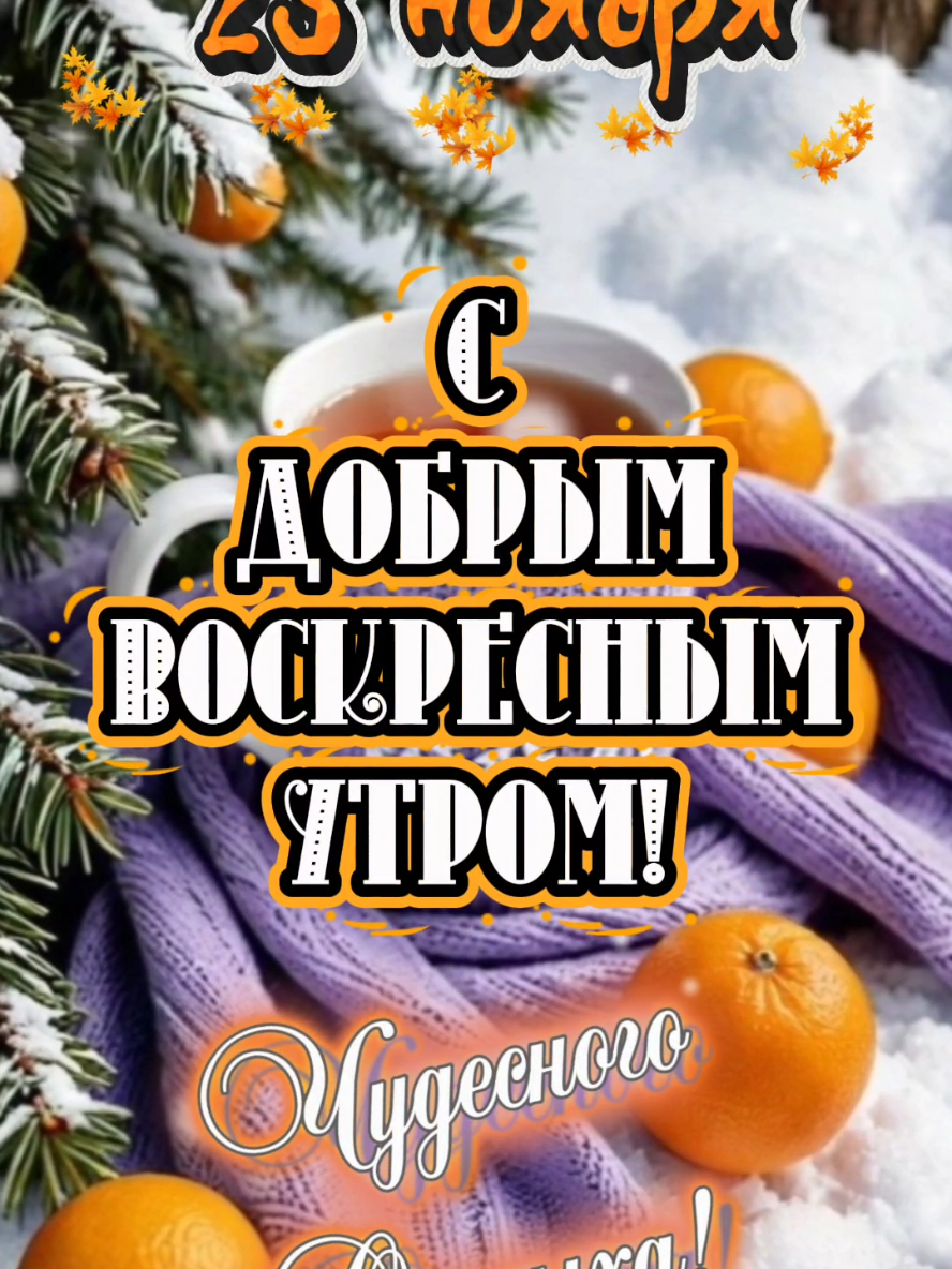 С Добрым Воскресным Утром! 23 ноября. #сдобрымвоскреснымутром #23ноября #чудесногоотдыха  #владаалматы #подписка