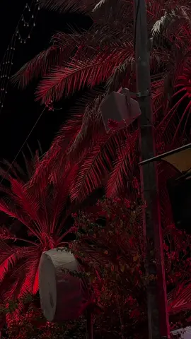 ليالي استشهاد السيدة الزهراء عليها السلام 😢 #يامولاتي_يافاطمه_الزهراء #يافاطمة_الزهراء  #يوميات_ابن_كربلاء #حركة_إكسبلور  #استشهاد_فاطمة_الزهراء_عليها_السلام 