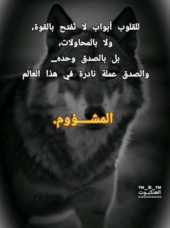 #creatorsearchinsights 