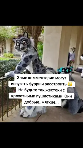 #пушистики #фурри #любовь 