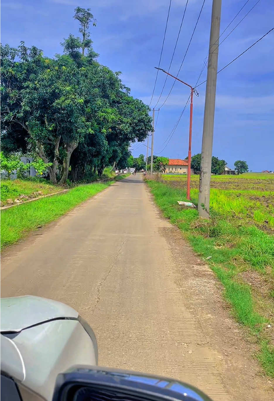 #indramayukotamangga🥭 