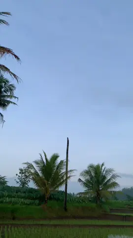 ENGINE ON🔥 #kens_yoya #gl_160 #megapro_modifikasi #megapro_primus #mp_gank 