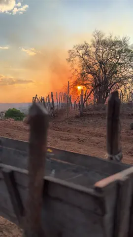 Sertão 🌵 #sert #sertaodonordeste🌵 #sertaodonordeste #sertaonordestino #sertao 