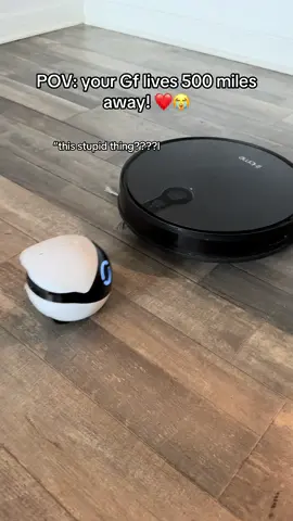 She’s ready to throw down with the cleaning robot 😭😭 #minirobot #rola #ebo #petcamera #homecamera 